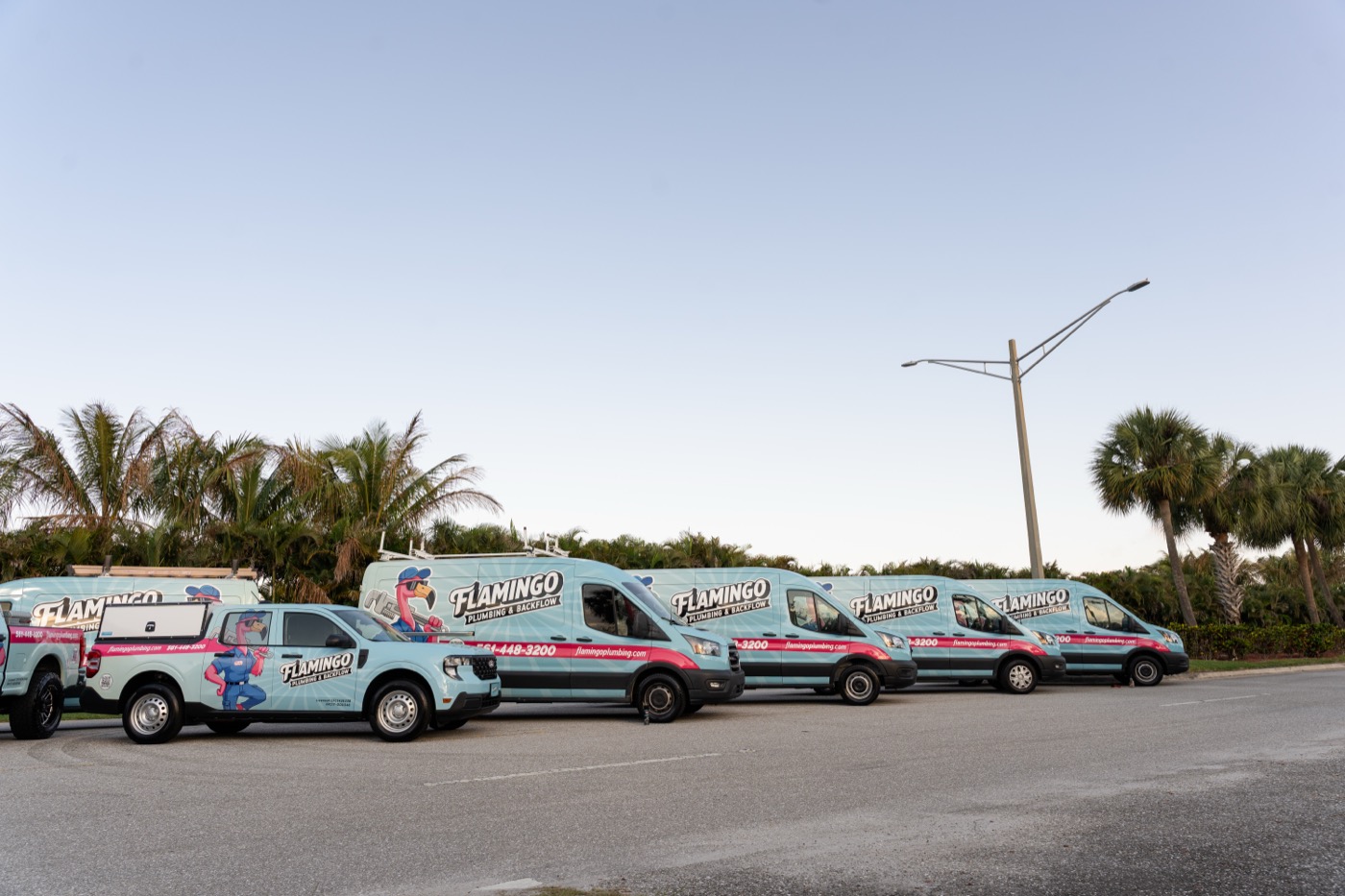 A group of Flamingo branded service trucks lined up