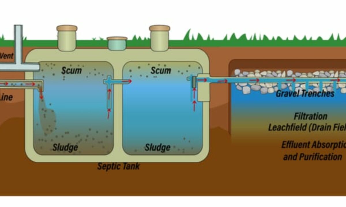 Septic System: Types, Cost, And Diagram, 50% OFF