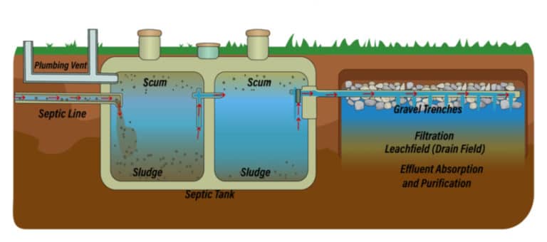 How To Approach Septic Tank Maintenance - Flamingo Plumbing