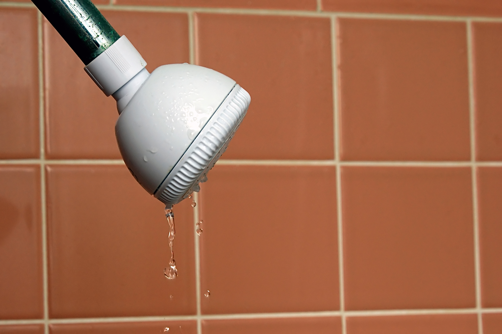 Can a Shower Head Leak by Siphoning Water?