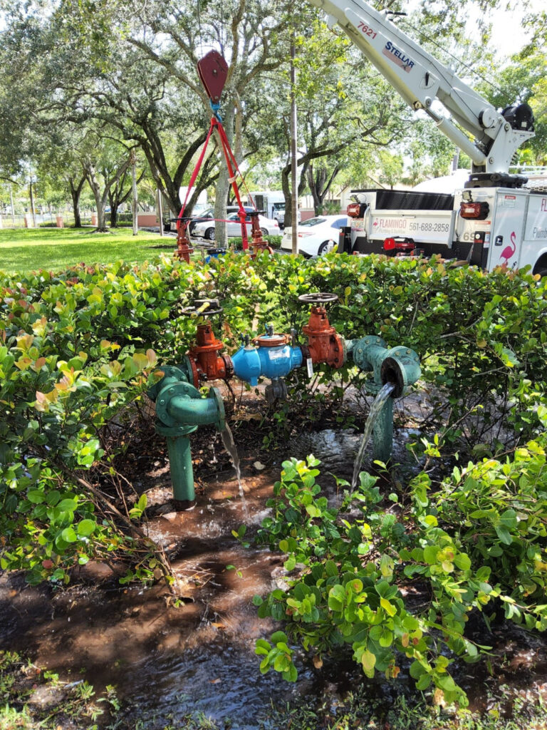 plumbing crew changing out a backflow assembly in south Florida